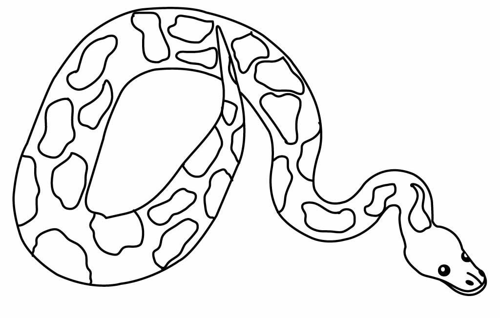 Schlangen Ausmalbilder 657
