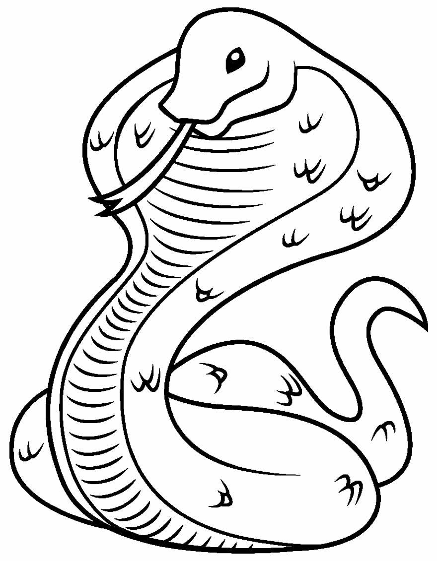 Schlangen Ausmalbilder 763