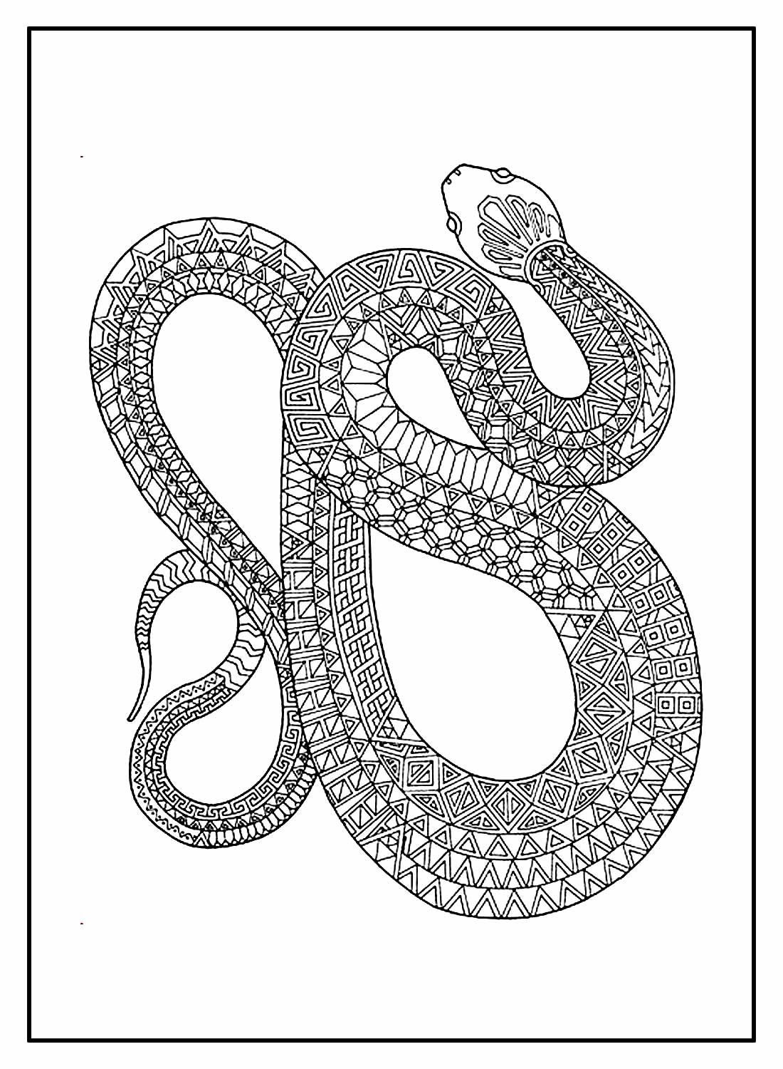 Schlangen Ausmalbilder 905