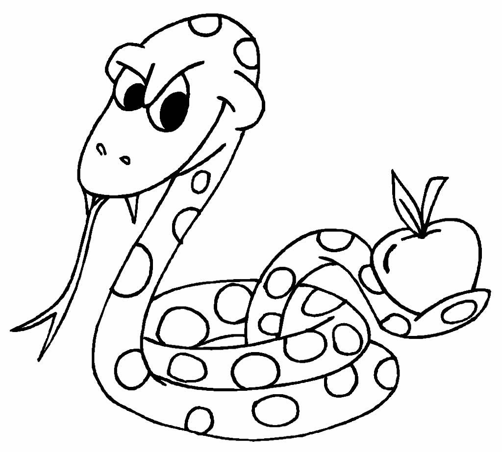 Schlangen Ausmalbilder 988