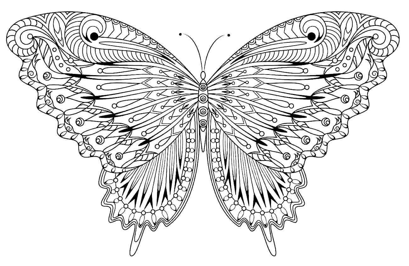 Schmetterlinge Ausmalbilder 035