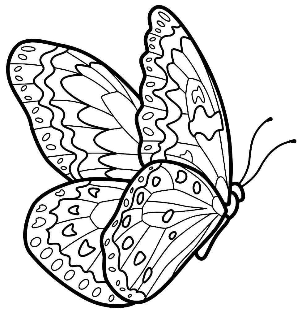 Schmetterlinge Ausmalbilder 125