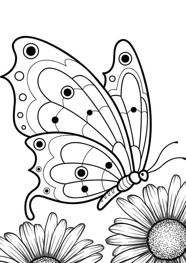 Schmetterlinge Ausmalbilder 145