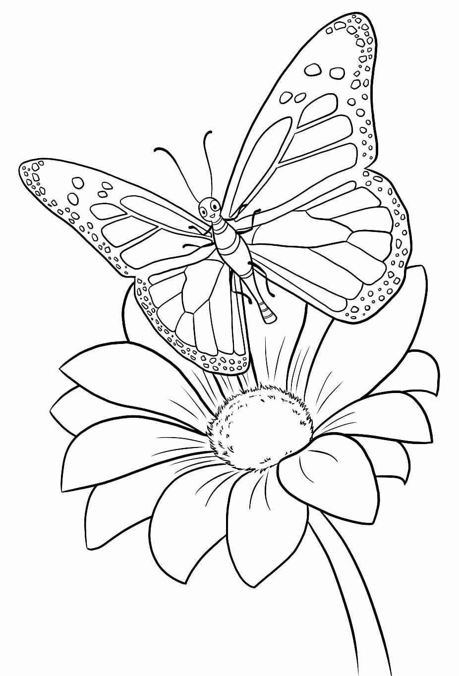 Schmetterlinge Ausmalbilder 217