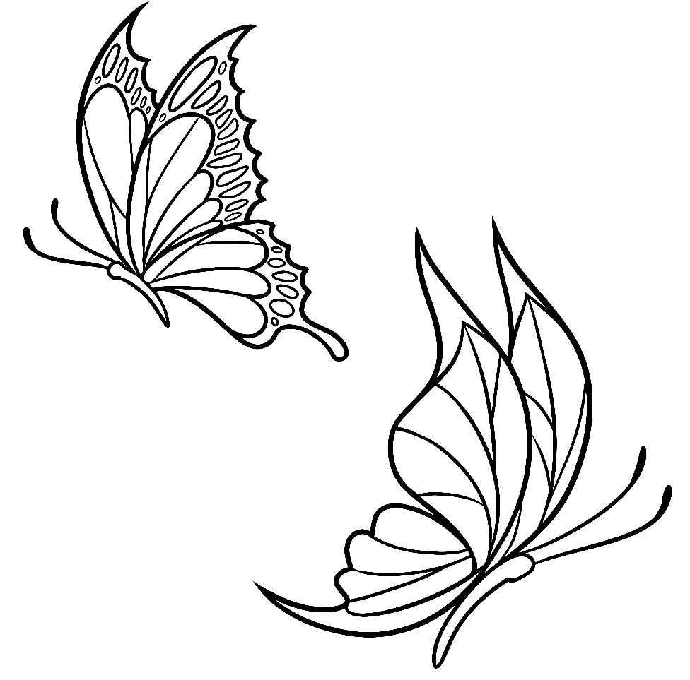 Schmetterlinge Ausmalbilder 320