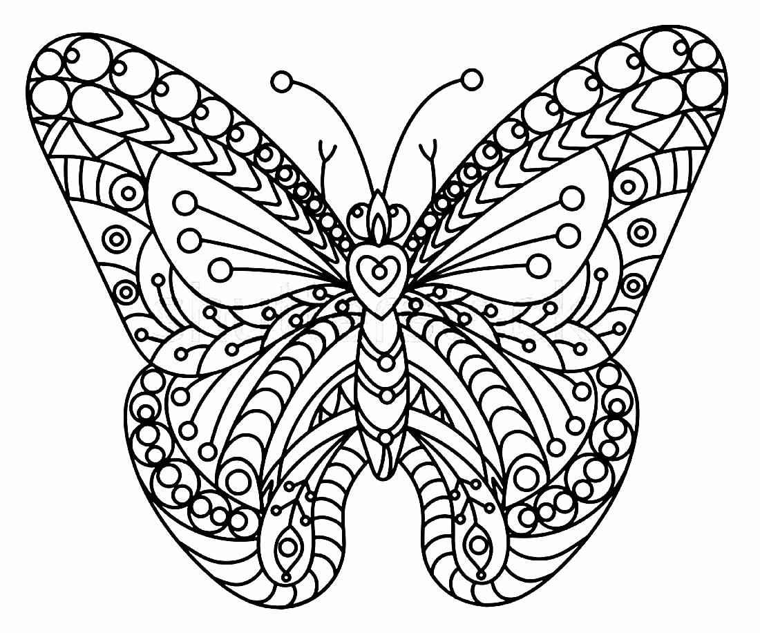 Schmetterlinge Ausmalbilder 352