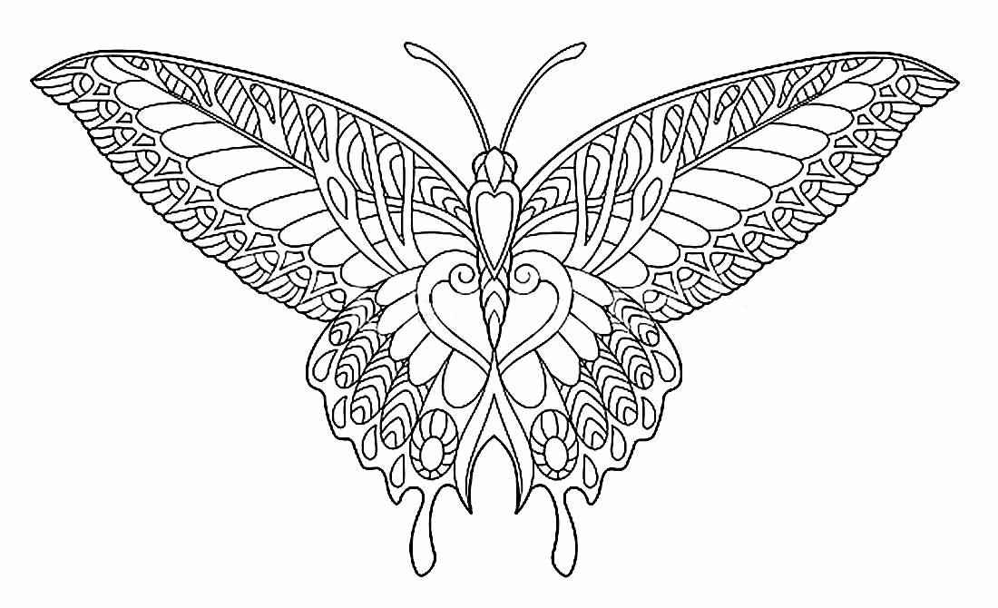 Schmetterlinge Ausmalbilder 370