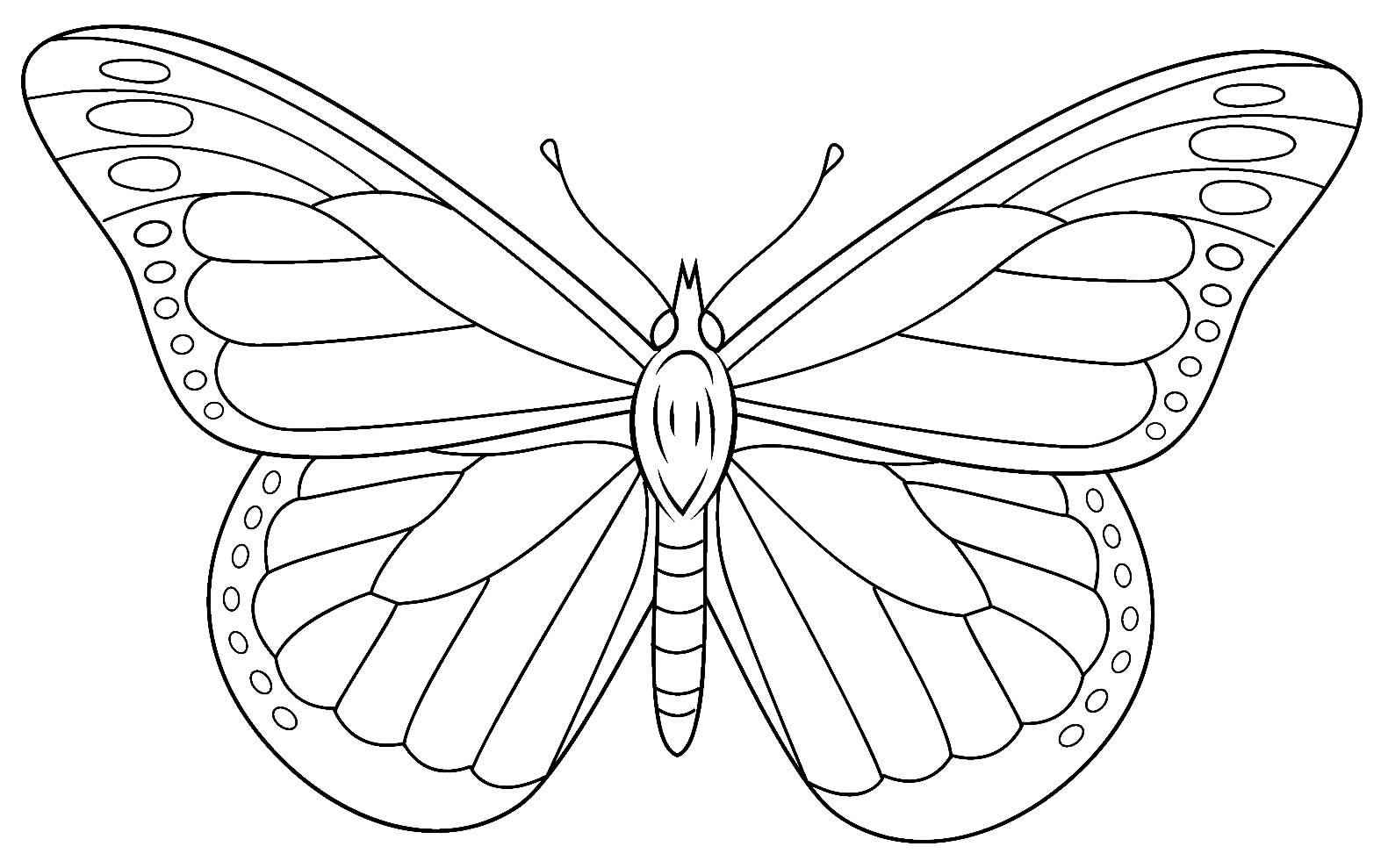 Schmetterlinge Ausmalbilder 393