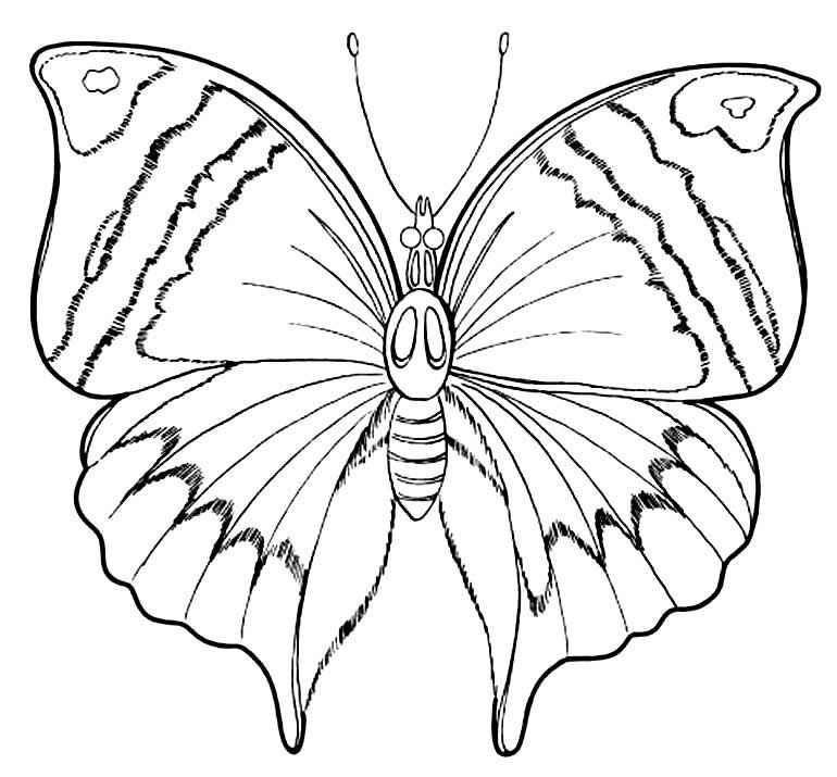 Schmetterlinge Ausmalbilder 454