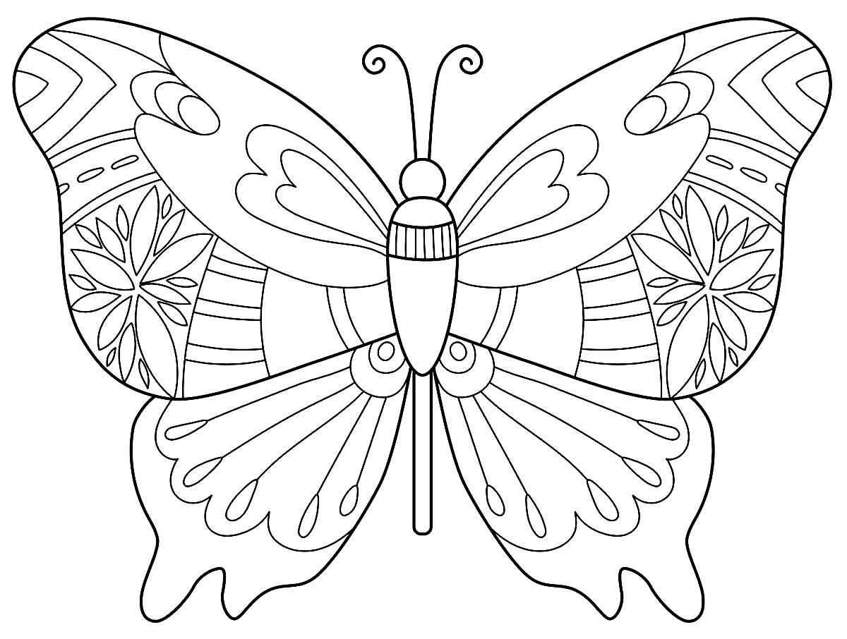 Schmetterlinge Ausmalbilder 524