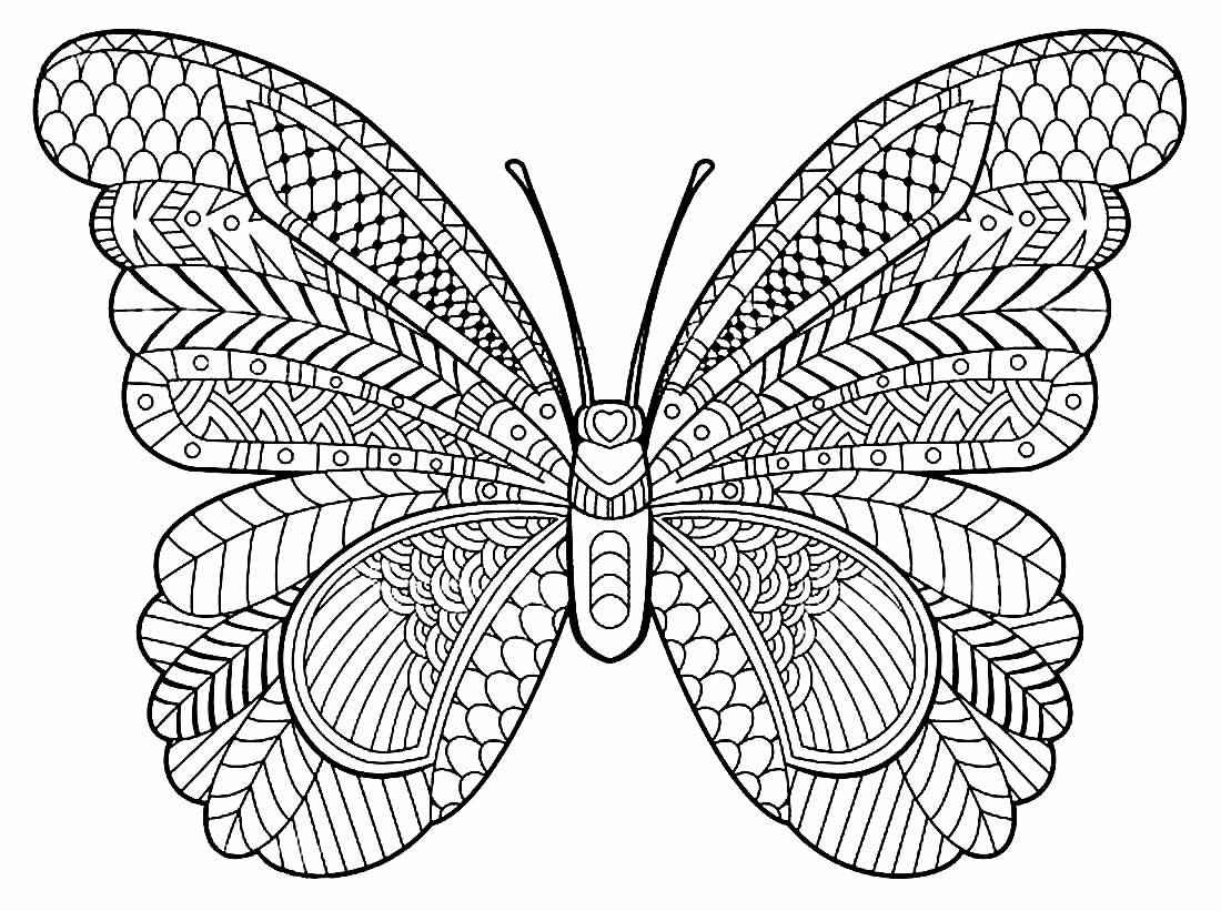 Schmetterlinge Ausmalbilder 567