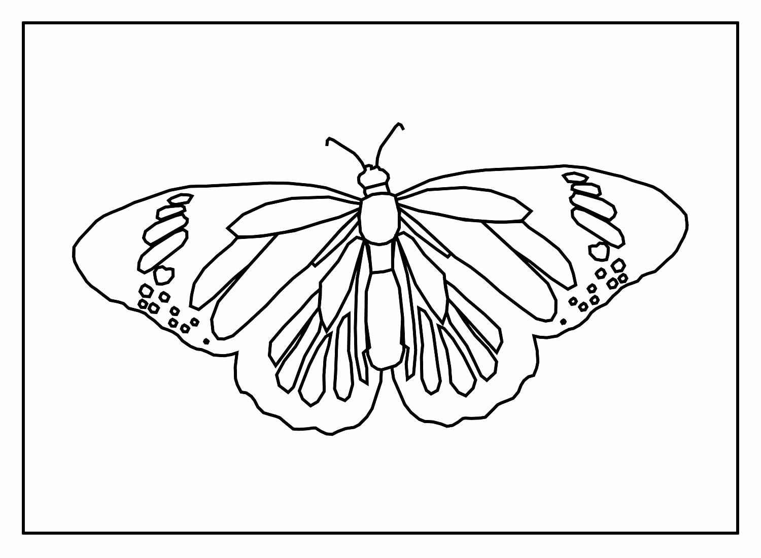 Schmetterlinge Ausmalbilder 606