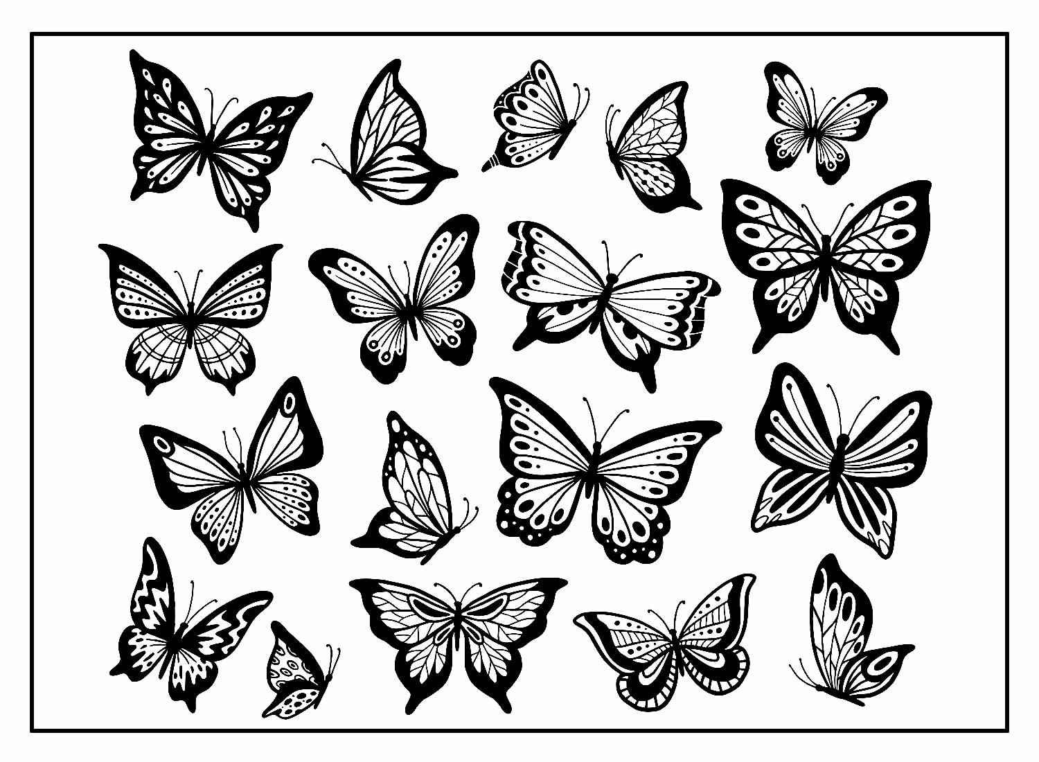 Schmetterlinge Ausmalbilder 666