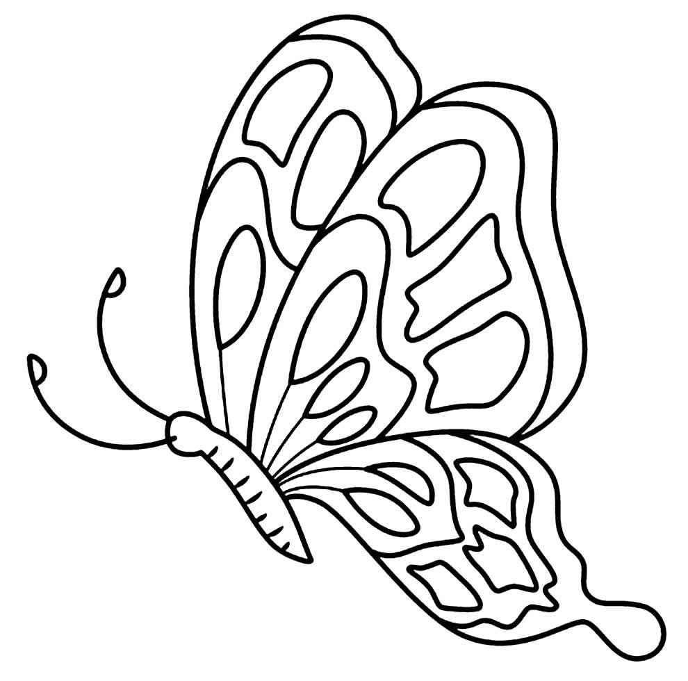 Schmetterlinge Ausmalbilder 712