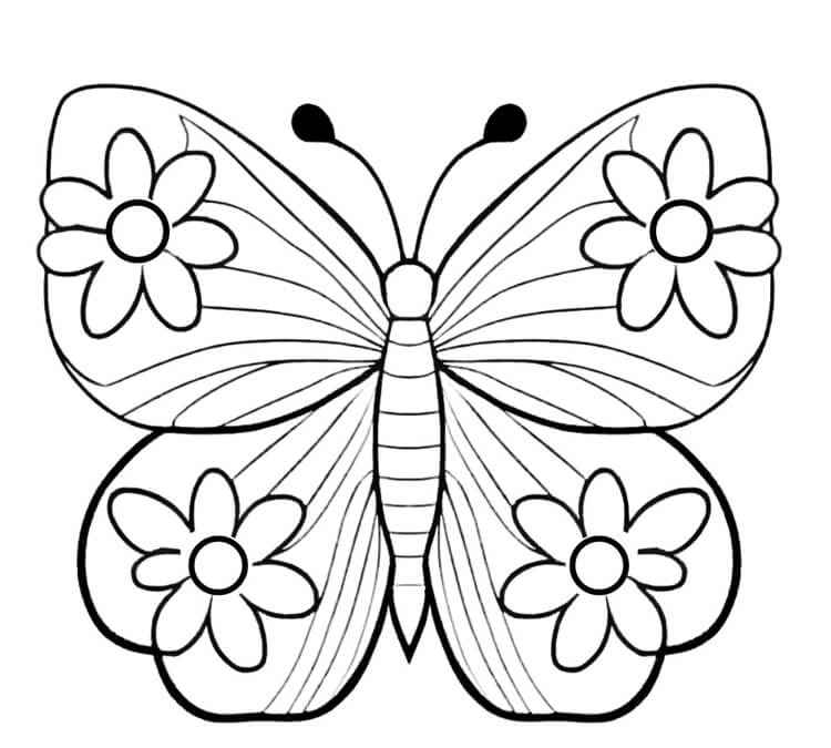 Schmetterlinge Ausmalbilder 748