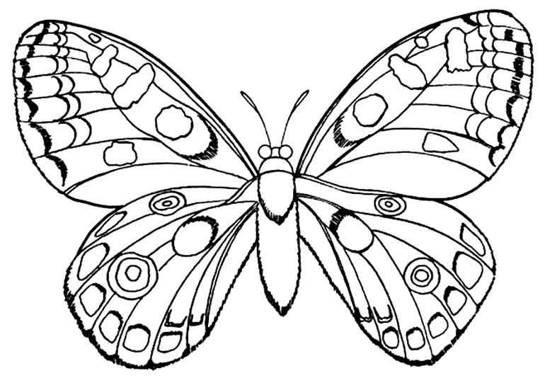 Schmetterlinge Ausmalbilder 888