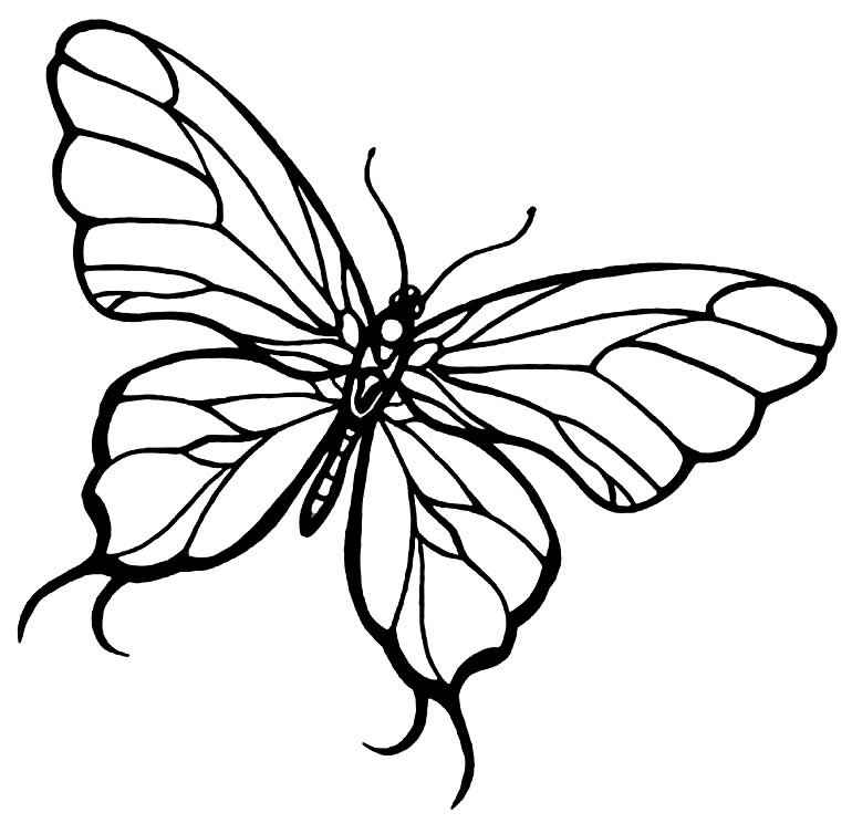 Schmetterlinge Ausmalbilder 977