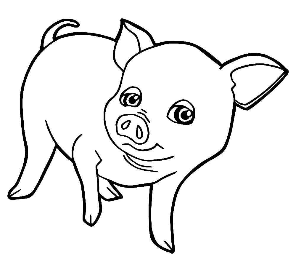 Schwein Ausmalbilder 628