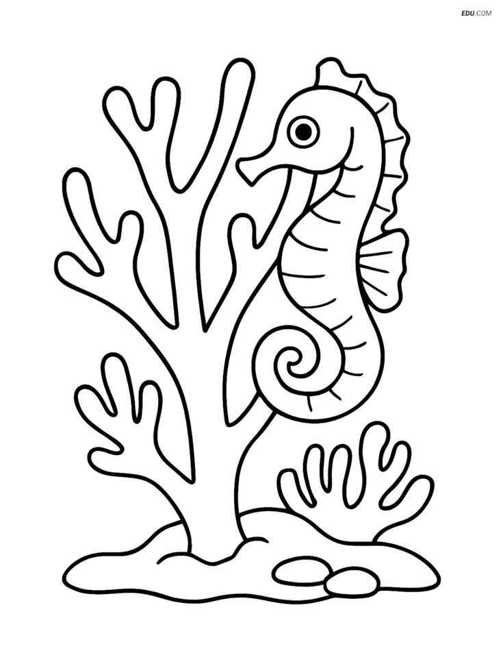 Seepferdchen Ausmalbilder 095