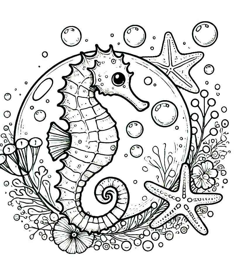 Seepferdchen Ausmalbilder 384