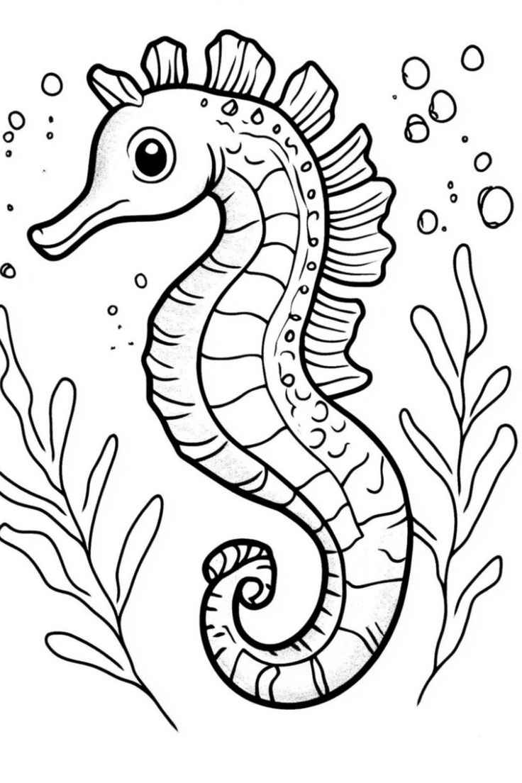 Seepferdchen Ausmalbilder 507