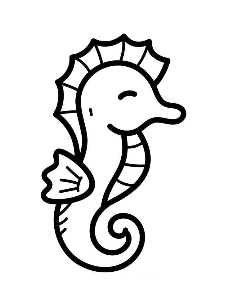 Seepferdchen Ausmalbilder 586