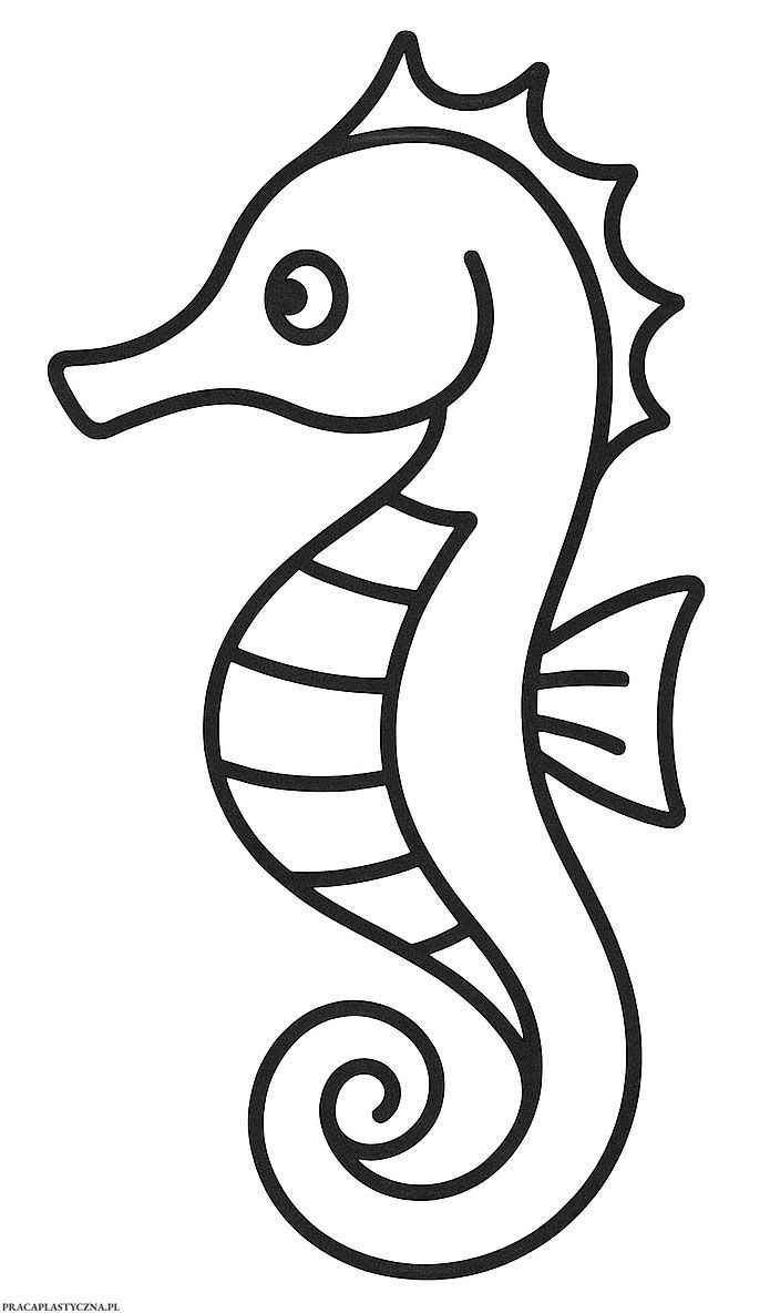 Seepferdchen Ausmalbilder 629