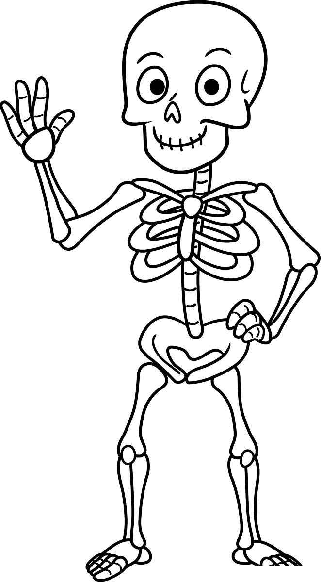 Skelett Ausmalbilder 136