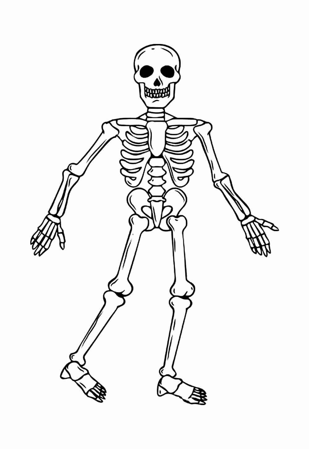 Skelett Ausmalbilder 223
