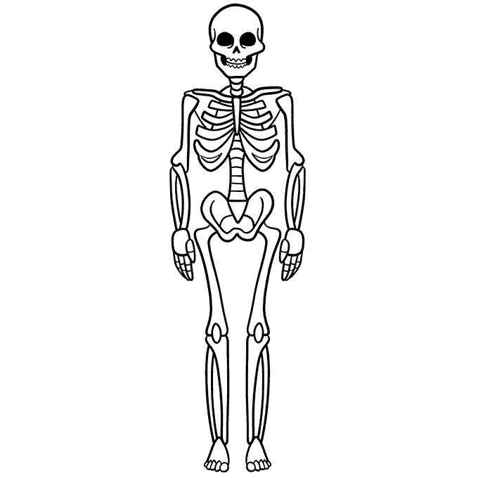 Skelett Ausmalbilder 277