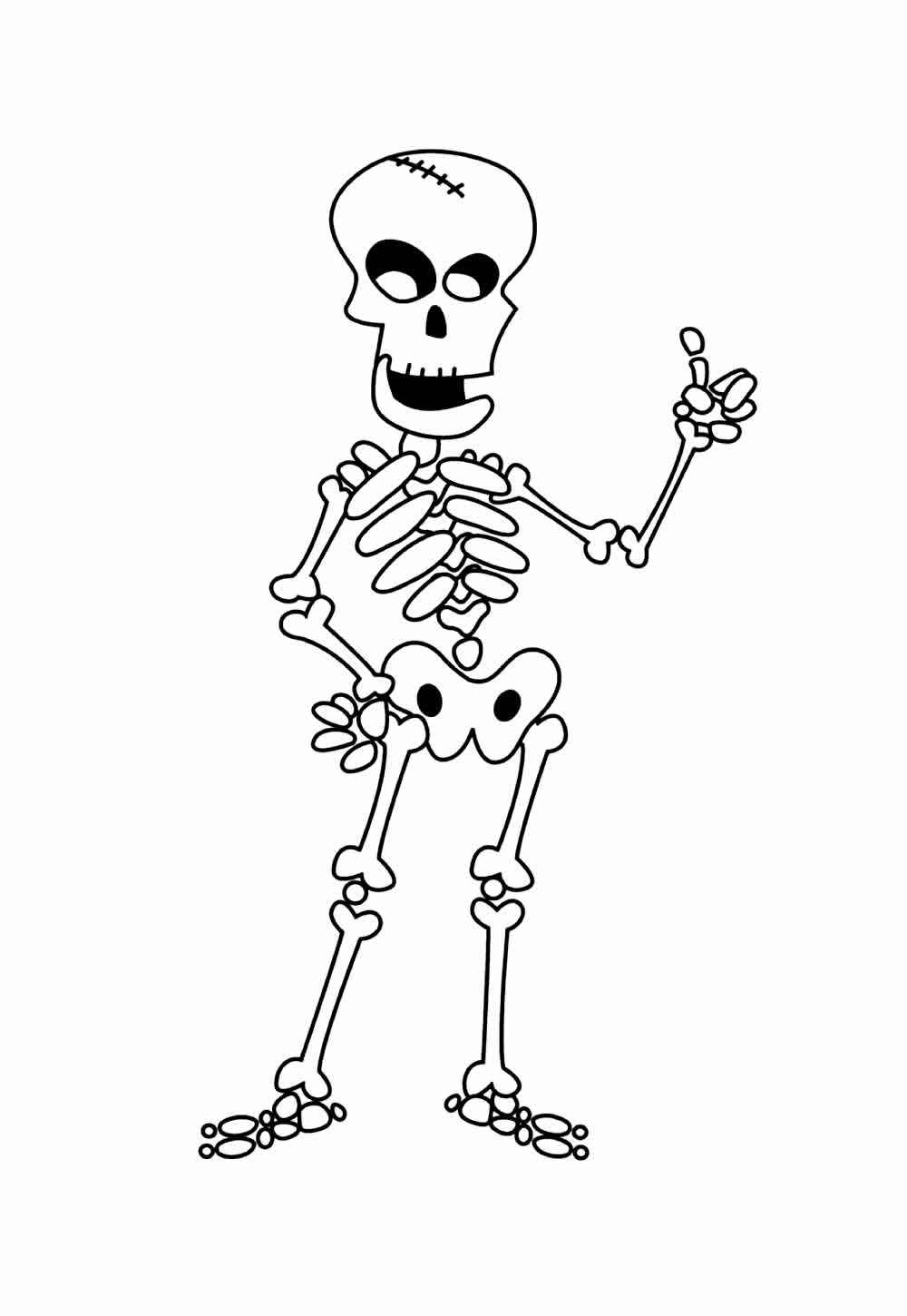 Skelett Ausmalbilder 324