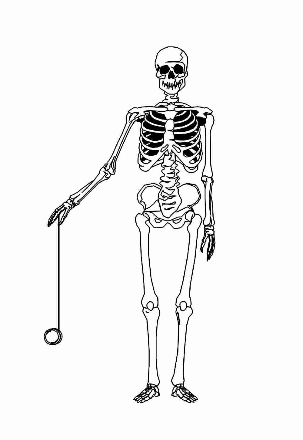 Skelett Ausmalbilder 822