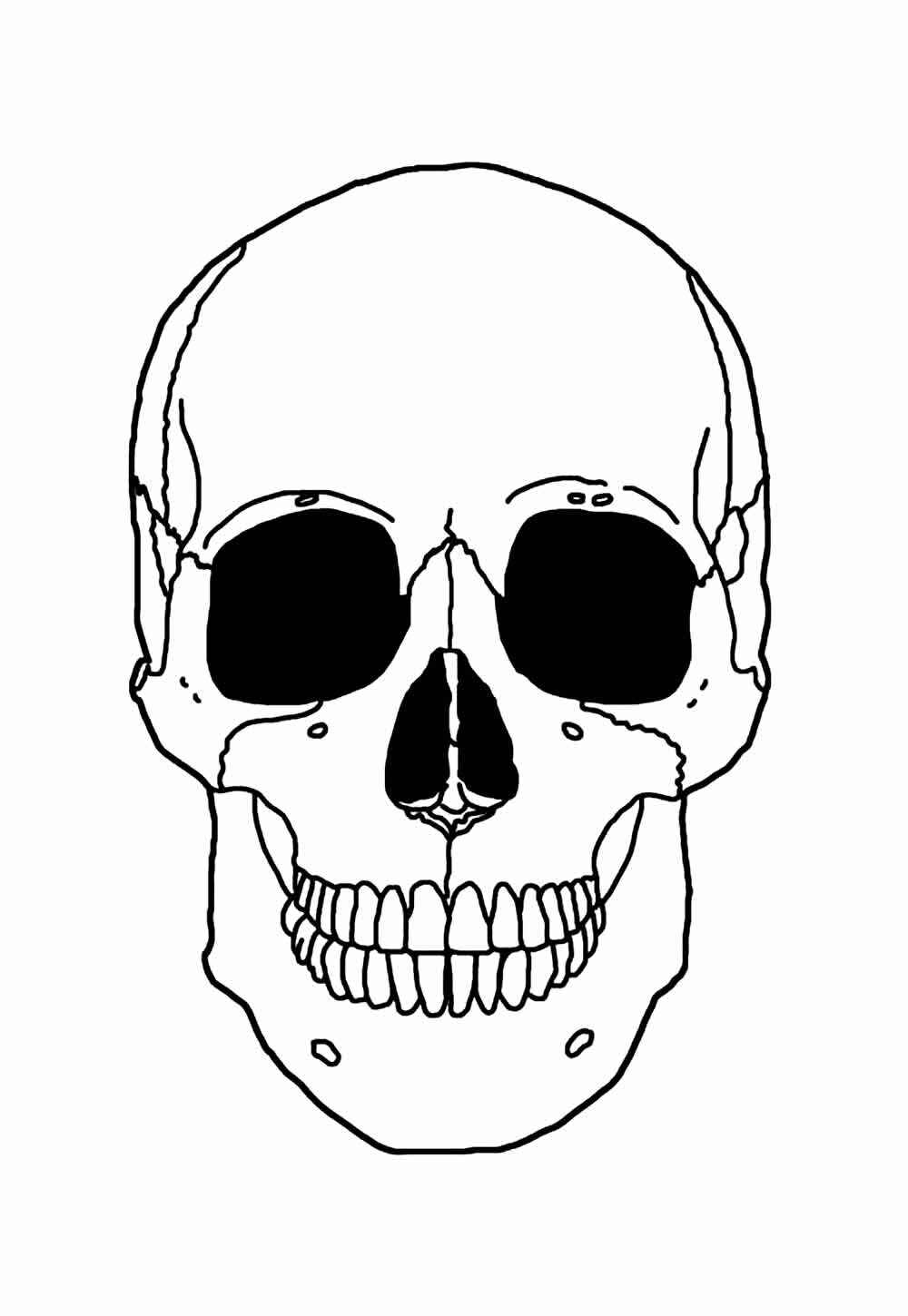 Skelett Ausmalbilder 872