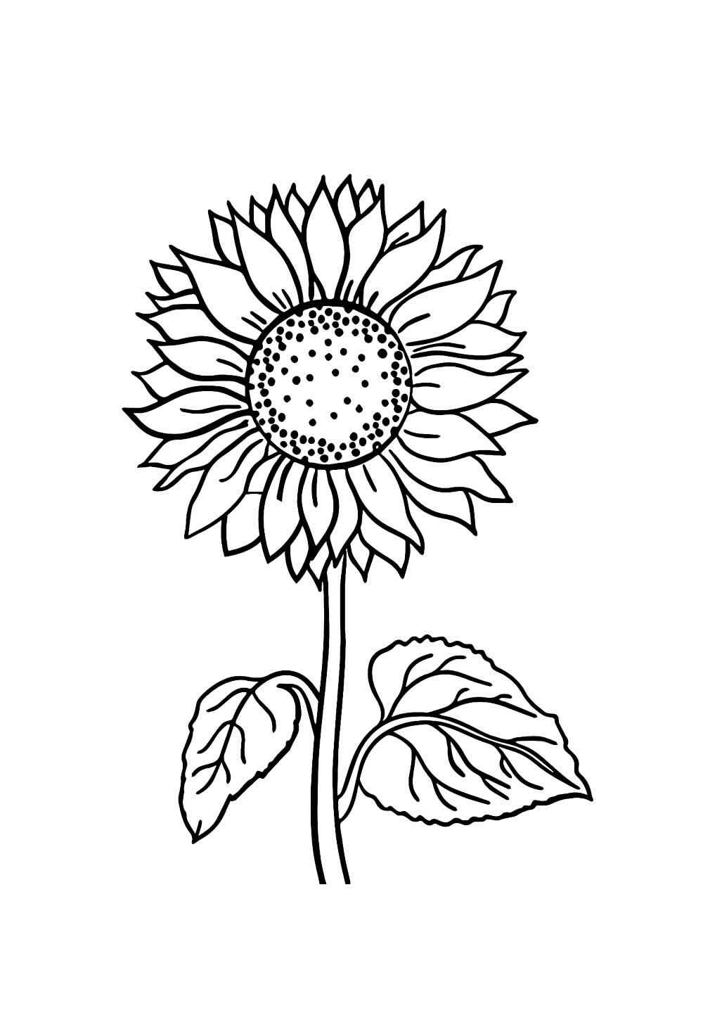 Sonnenblume Ausmalbilder 222