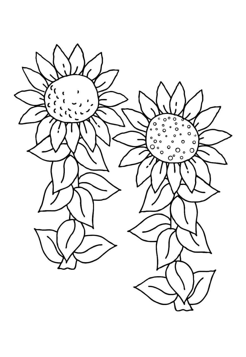 Sonnenblume Ausmalbilder 233