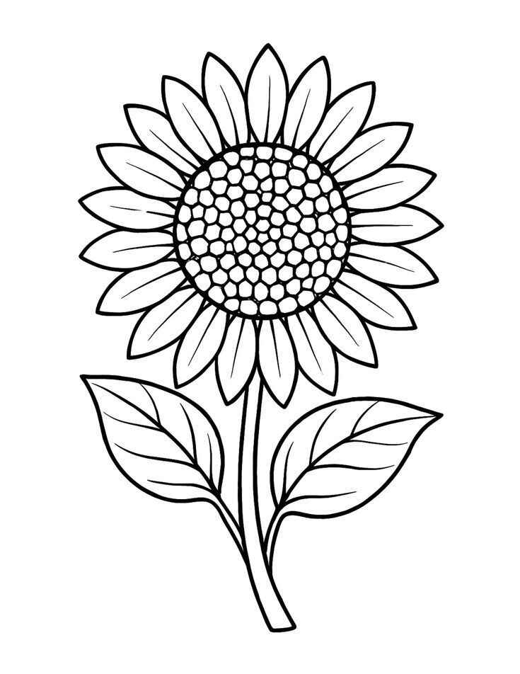 Sonnenblume Ausmalbilder 476