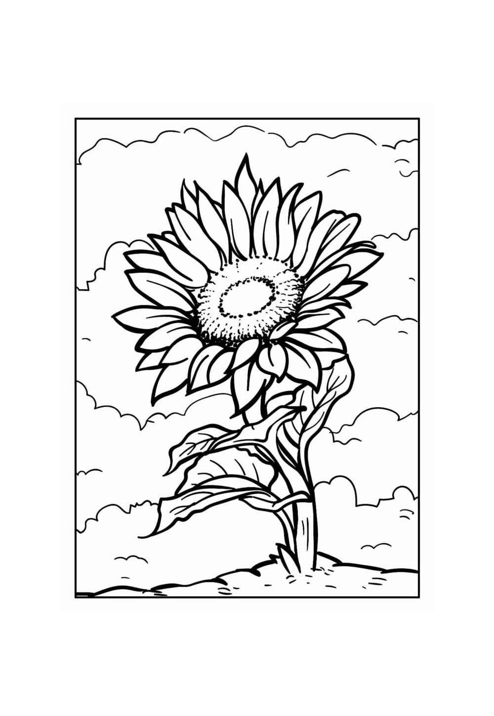 Sonnenblume Ausmalbilder 596