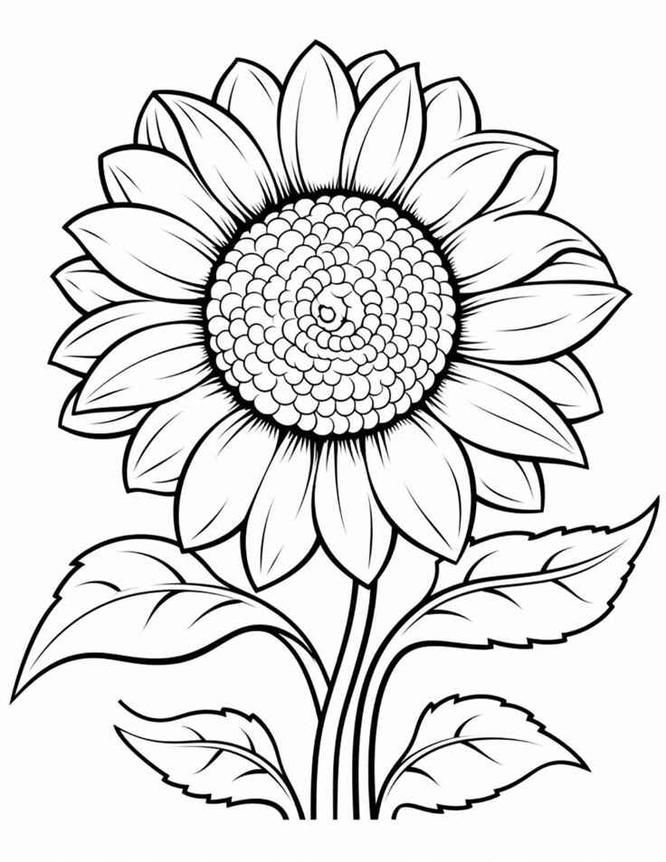 Sonnenblume Ausmalbilder 688