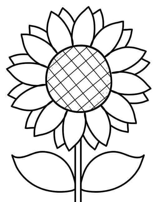 Sonnenblume Ausmalbilder 753