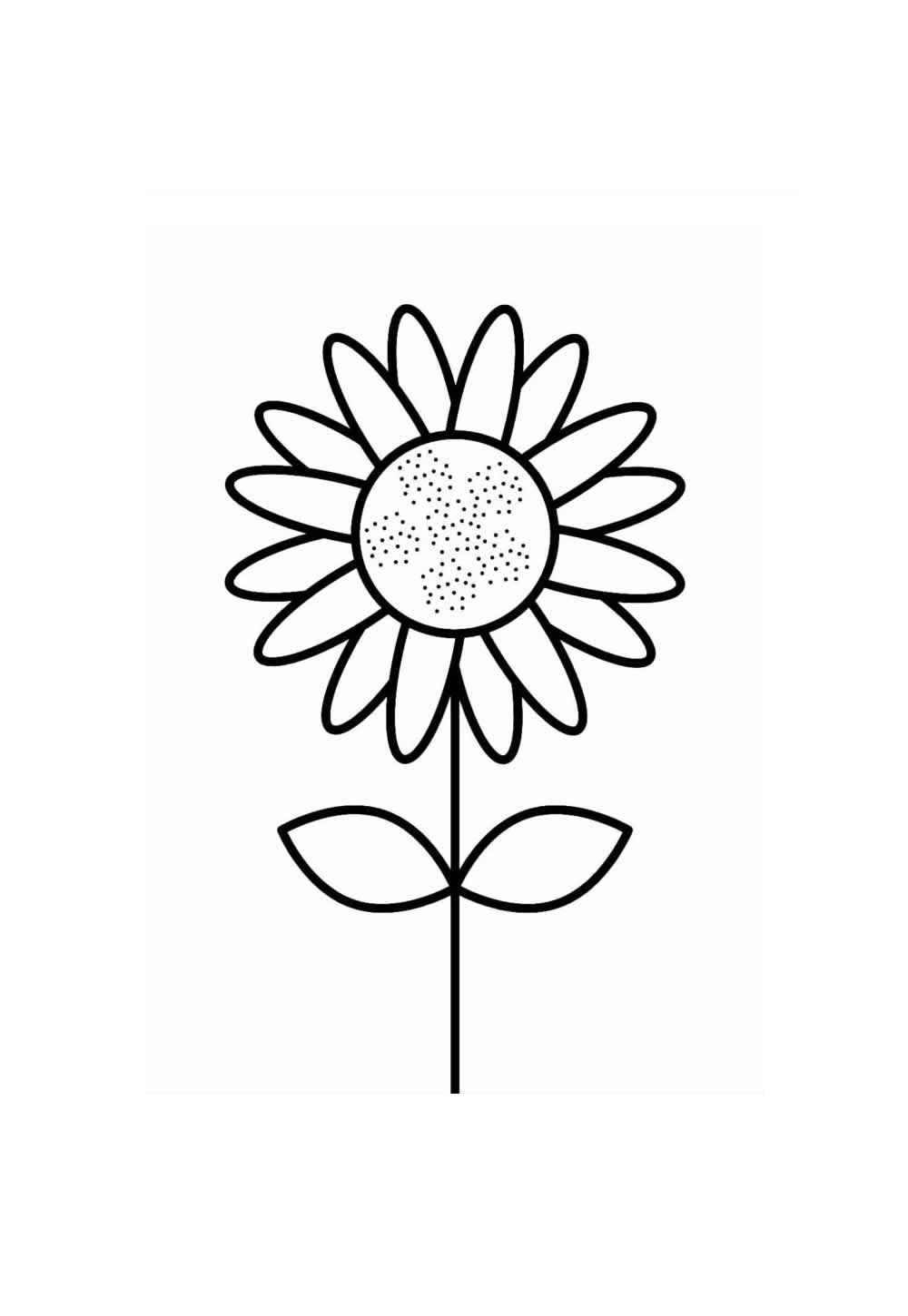 Sonnenblume Ausmalbilder 763