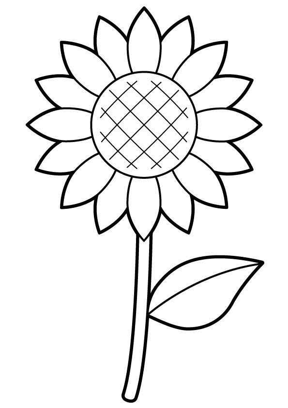 Sonnenblume Ausmalbilder 892