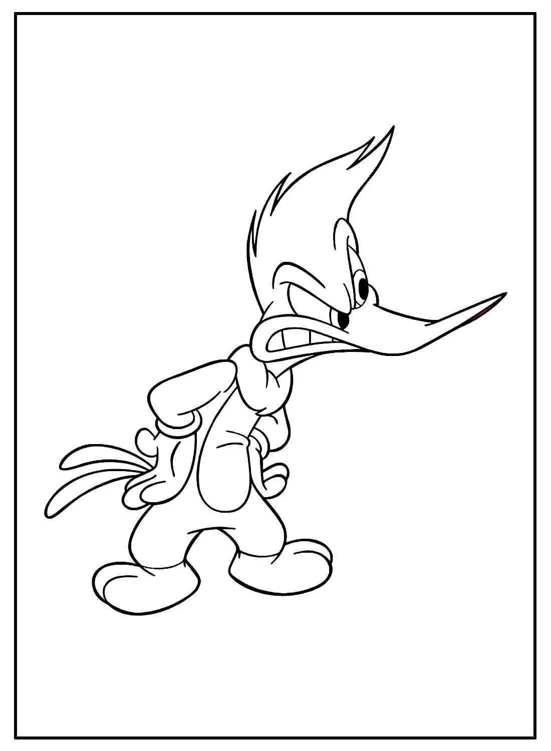 Specht Ausmalbilder 304