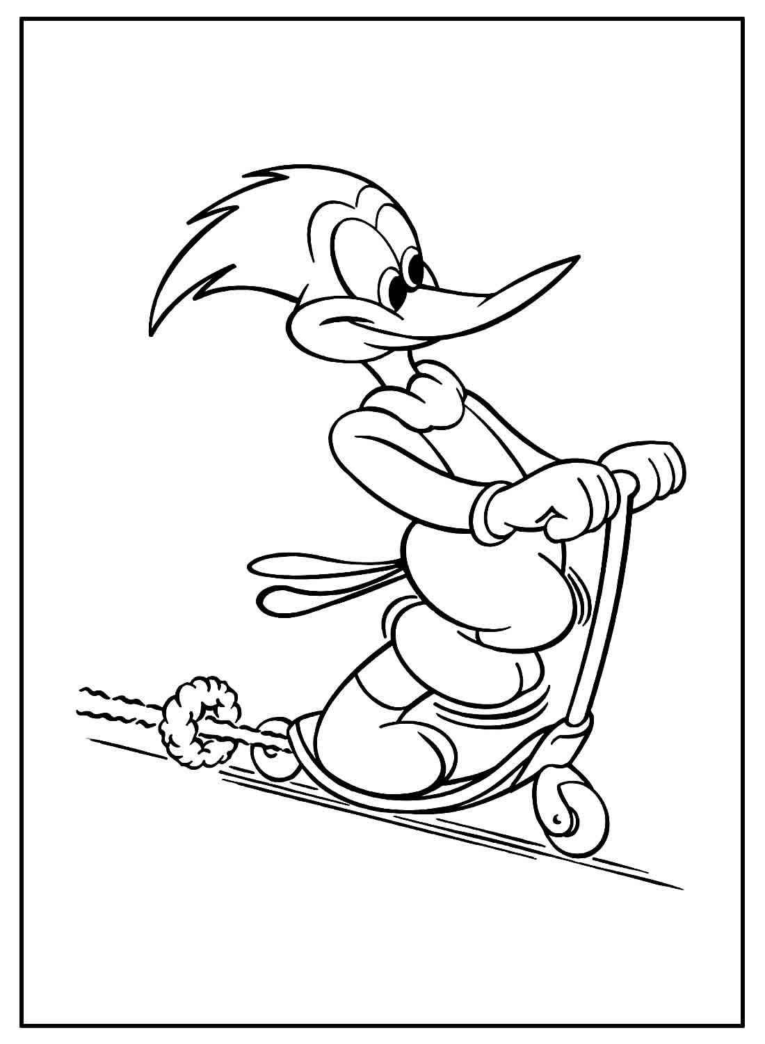 Specht Ausmalbilder 582