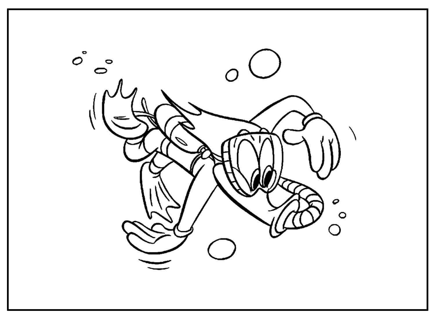 Specht Ausmalbilder 749