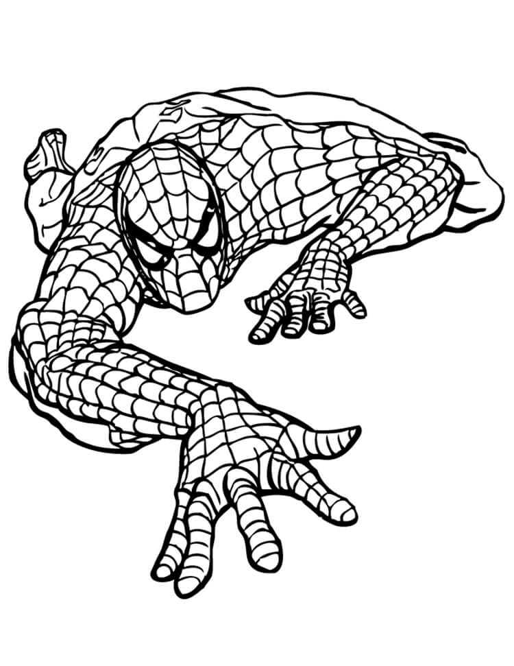 Spiderman Ausmalbilder 150