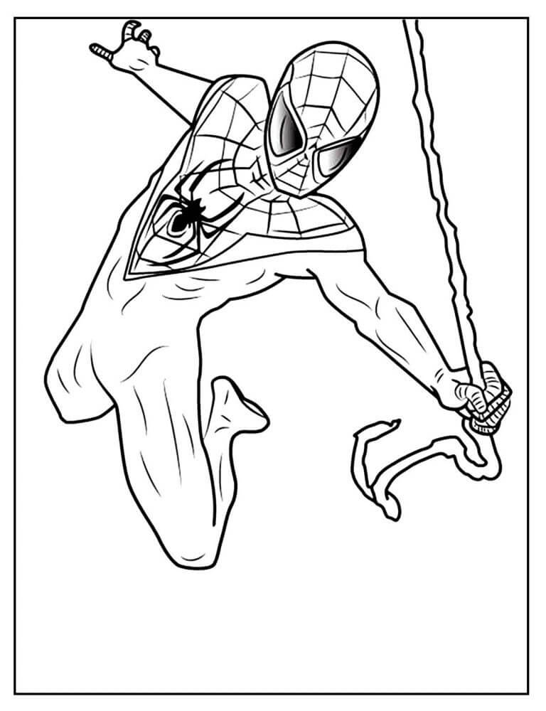 Spiderman Ausmalbilder 253