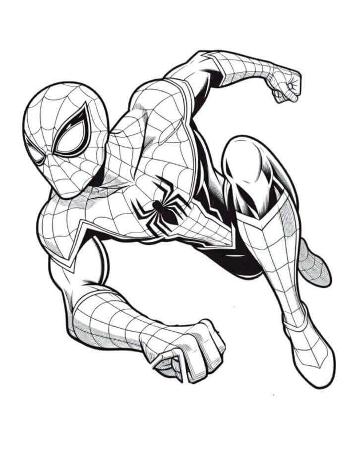 Spiderman Ausmalbilder 336