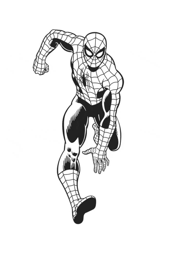 Spiderman Ausmalbilder 338