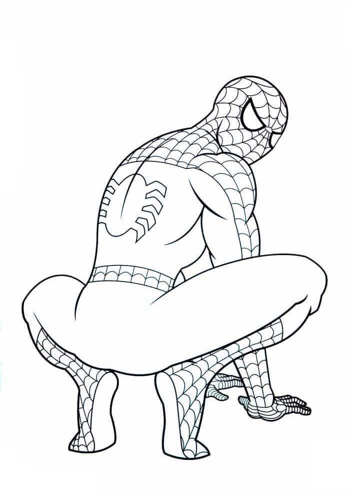Spiderman Ausmalbilder 513