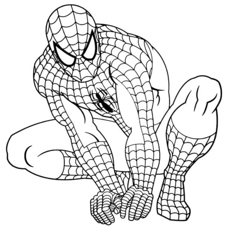 Spiderman Ausmalbilder 529